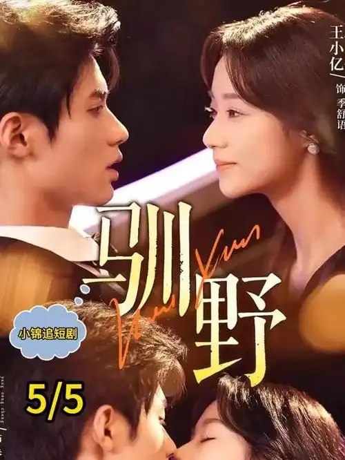 春日未晚电视剧全集免费在线观看